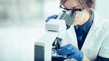 La mayoría de las iniciativas