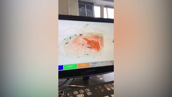 En el escaner los dólares