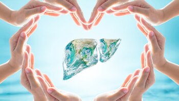 Alrededor de 355 millones de