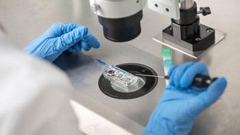 La clínica tomo embriones de