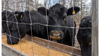 Las instalaciones de la Estación