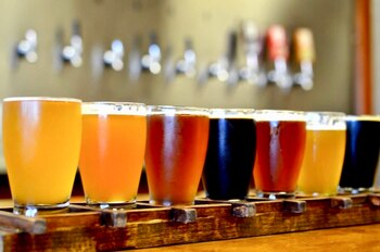 Cervezas para todos los gustos: