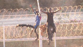 Más de 600 inmigrantes lograron