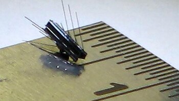 Pero el microrrobot, llamado ViRob,