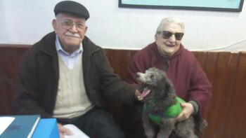 El reencuentro de la perrita