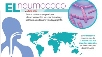 Qué es el neumococo y