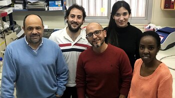 El grupo de investigadores del