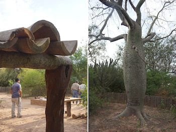 Una galería techada con troncos