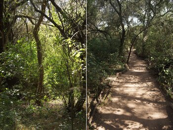 En el centro de investigación,