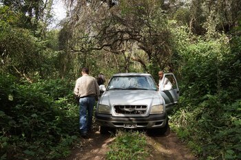 La picada tradicional, más transitable