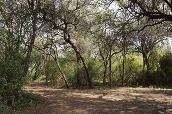 El patrimonio de Roseo, hoy