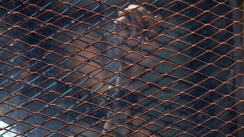 Los dirigentes del grupo islamista