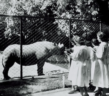 Foto del Zoológico de Buenos
