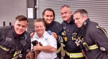 Sanders suele protagonizar los rescates