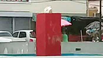 (Twitter: @LDanieri)