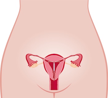Los métodos anticonceptivos de largo