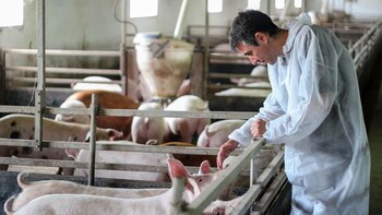 Argentina cuenta con un rodeo