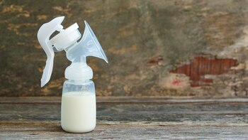 Los lactarios disponen de todos