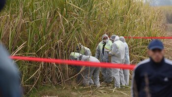 El cuerpo de la joven