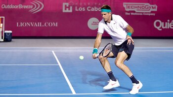 Juan Martín del Potro sigue