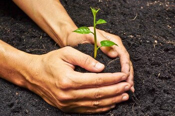 Los suelos de uso agropecuario constituyen un recurso natural estratégico, limitado y no renovable