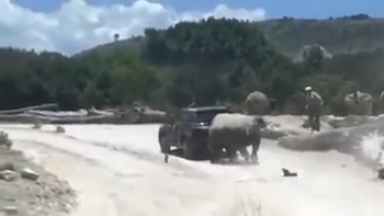 Aunque el vehículo intentó avanzar,