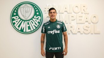 (Palmeiras)