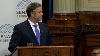 La presentación del ministro de Salud frente a una comisión del Senado se centró en estimaciones que reflejaban que el Estado no afrontaría un mayor gasto si se legalizara el aborto