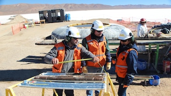 Minería es el sector con