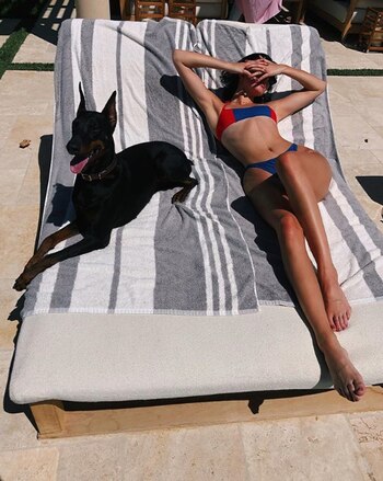 El perro doberman de Kendall