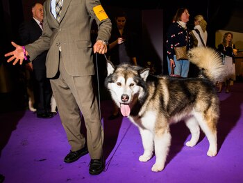 Un dueño posa junto a