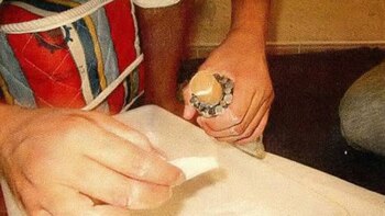 Preparación de La Madre de