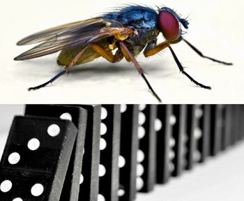 La visita inesperada de una