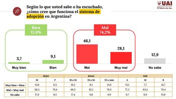 Encuesta Ley de Adopcion, Agosto 2018 (UAI)