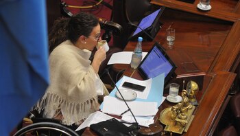 Un usuario vendía en internet las tazas del Senado (Patricio Murphy)