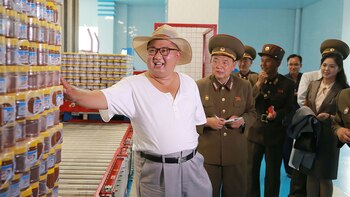 La planta está ubicada en la provincia de Hwanghae (AFP)