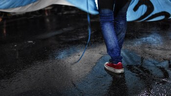 Congreso 8A Lado celeste Ley