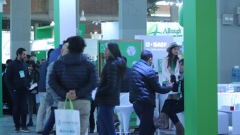 “La siembra directa deber ir