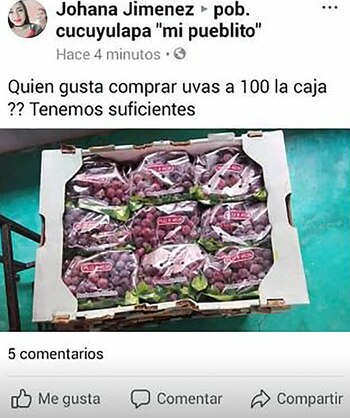 Así se ofrecieron las uvas