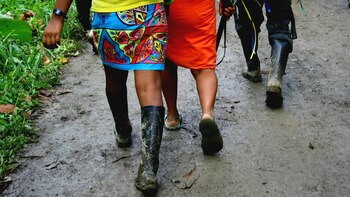 Entre 1926 y 2017 se