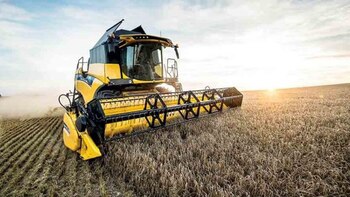 Según analistas los números negativos