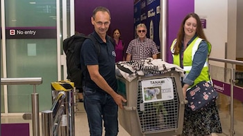 Tanami viajó en la cabina