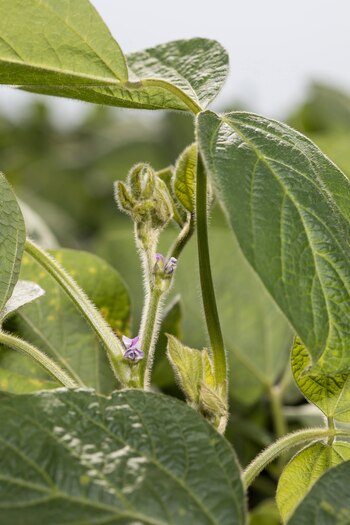 A diferencia de los métodos