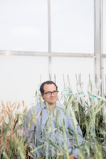 Federico Tripodi es director ejecutivo