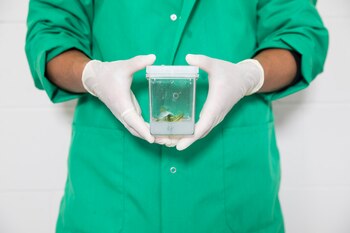 Un investigador junto a una