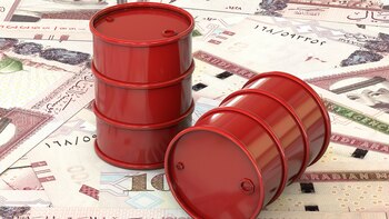 Si bien no se indicó