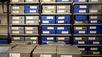 Apenas fueron intervenidos cien de