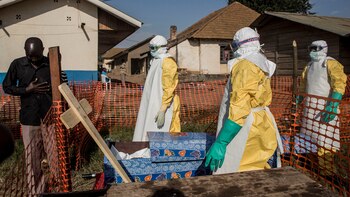 La OMS se ha mostrado