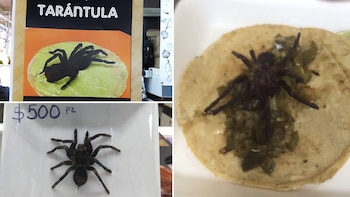 La oferta de los tacos