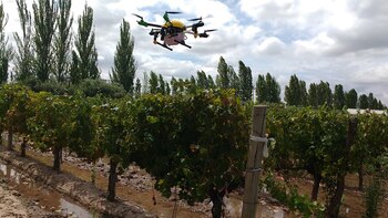 Biodrone ya fue probado en